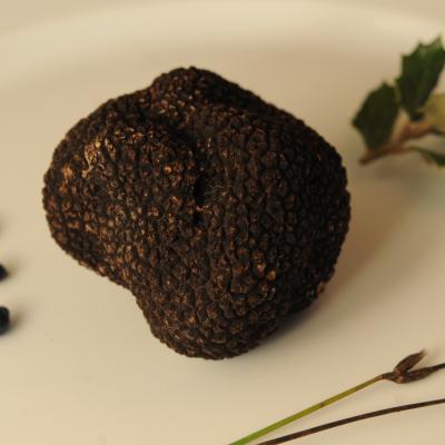 Saveurs de truffes et vins d'Ardèche au Domaine du Colombier